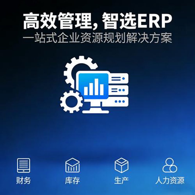 软件定制开发——构建企业高效运营的桥梁